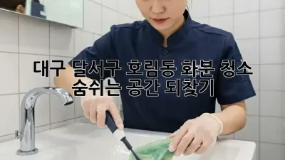 대구 달서구 호림동 화분 청소, 숨쉬는 공간 되찾기!