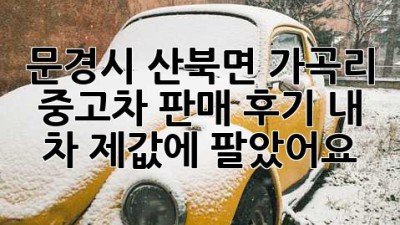 문경시 산북면 가곡리 중고차 판매 후기: 내 차, 제값에 팔았어요!